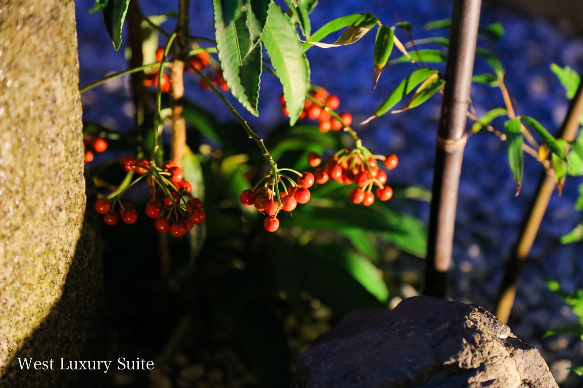Kyonoyado Gekkoan Villa เกียวโต ภายนอก รูปภาพ